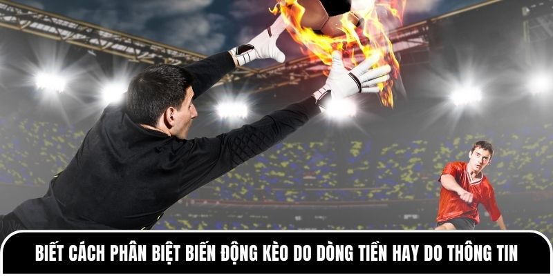 Vì sao nên tìm hiểu về lịch sử ra kèo bóng đá? 4 Biết cách phân biệt biến động kèo do dòng tiền hay do thông tin