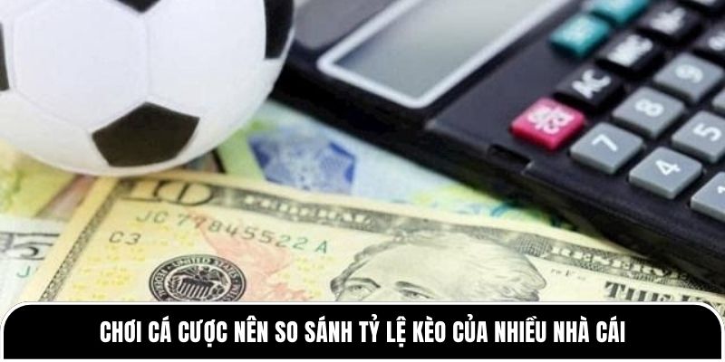 Vì sao biến động tỷ lệ kèo lại khiến nhiều người thua cược? 4 Chơi cá cược nên so sánh tỷ lệ kèo của nhiều nhà cái