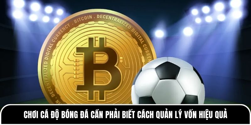 Kinh nghiệm phân tích tỷ lệ kèo dành cho các tân thủ 5 Chơi cá độ bóng đá cần phải biết cách quản lý vốn hiệu quả