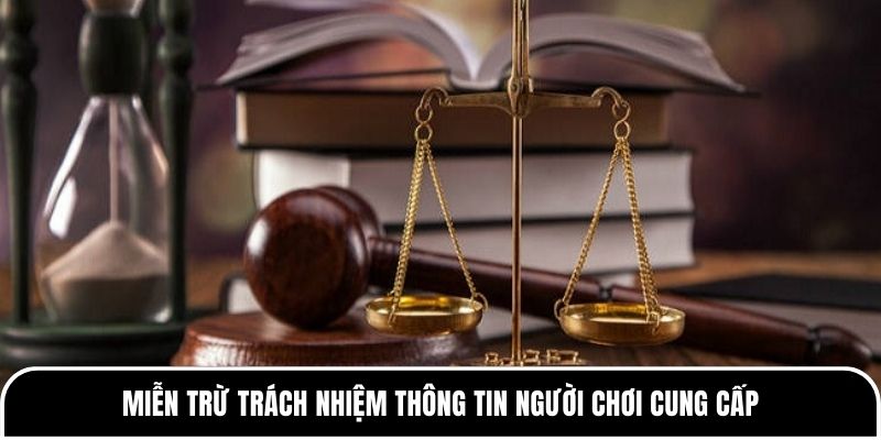 Miễn trừ trách nhiệm thông tin người chơi cung cấp 