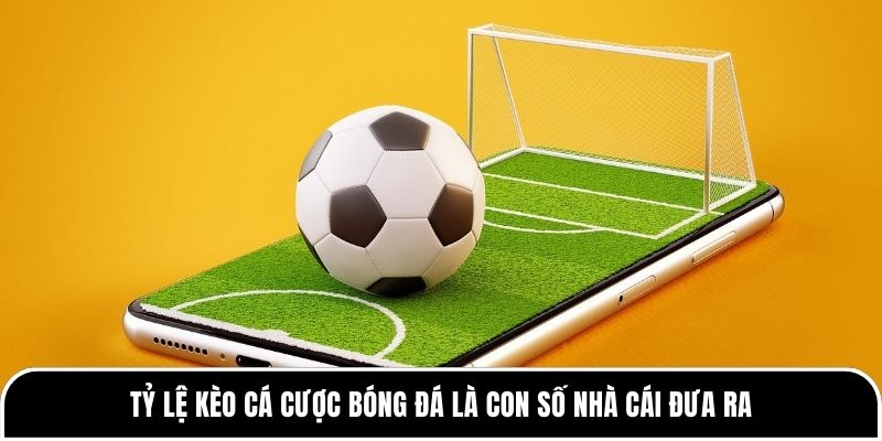 Khám phá những yếu tố ảnh hưởng đến tỷ lệ kèo cá cược bóng đá 1 Tỷ lệ kèo cá cược bóng đá là con số nhà cái đưa ra
