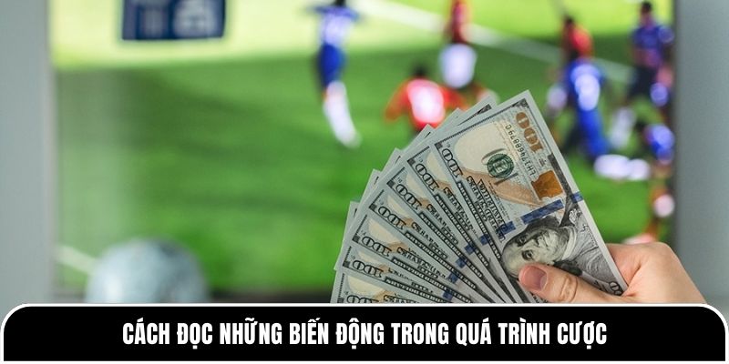 Cách đọc những biến động trong quá trình cược