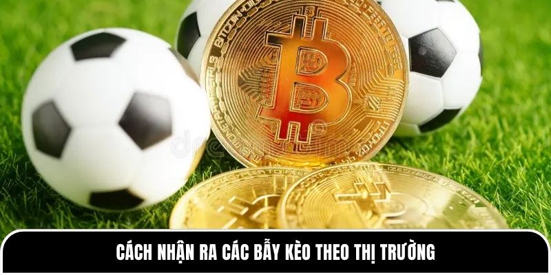 Soi kèo theo thị trường: Bí kíp bắt chuẩn tại Tylekeo88 3 Cách nhận ra các bẫy kèo theo thị trường
