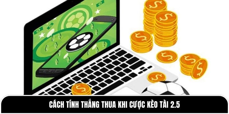 Cách tính thắng thua khi cược kèo Tài 2.5