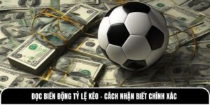 Đọc Biến Động Tỷ Lệ Kèo