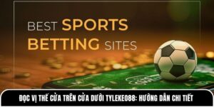 Đọc vị thế cửa trên cửa dưới
