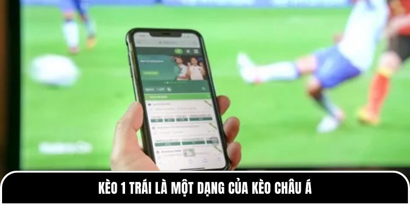 Kèo 1 trái là gì? Hướng dẫn cách chơi an toàn cho người mới 1 Kèo 1 trái là một dạng của kèo châu Á