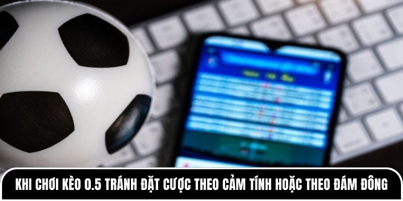 Khi chơi kèo 0.5 tránh đặt cược theo cảm tính hoặc theo đám đông
