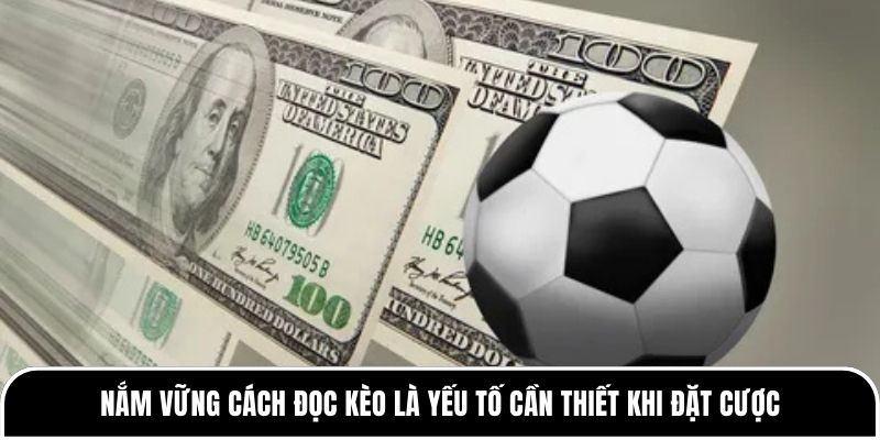 Kèo 1 trái là gì? Hướng dẫn cách chơi an toàn cho người mới 3 Nắm vững cách đọc kèo là yếu tố cần thiết khi đặt cược