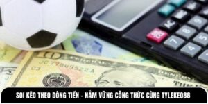 Soi kèo theo dòng tiền