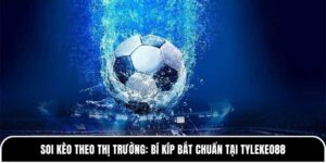 Soi kèo theo thị trường
