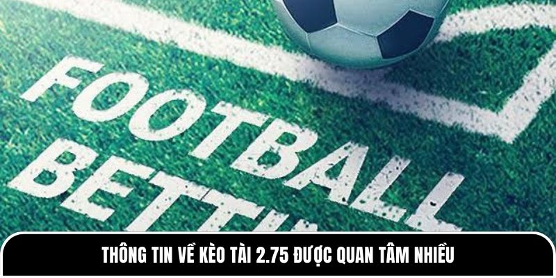 Thông tin về kèo Tài 2.75 được quan tâm nhiều 